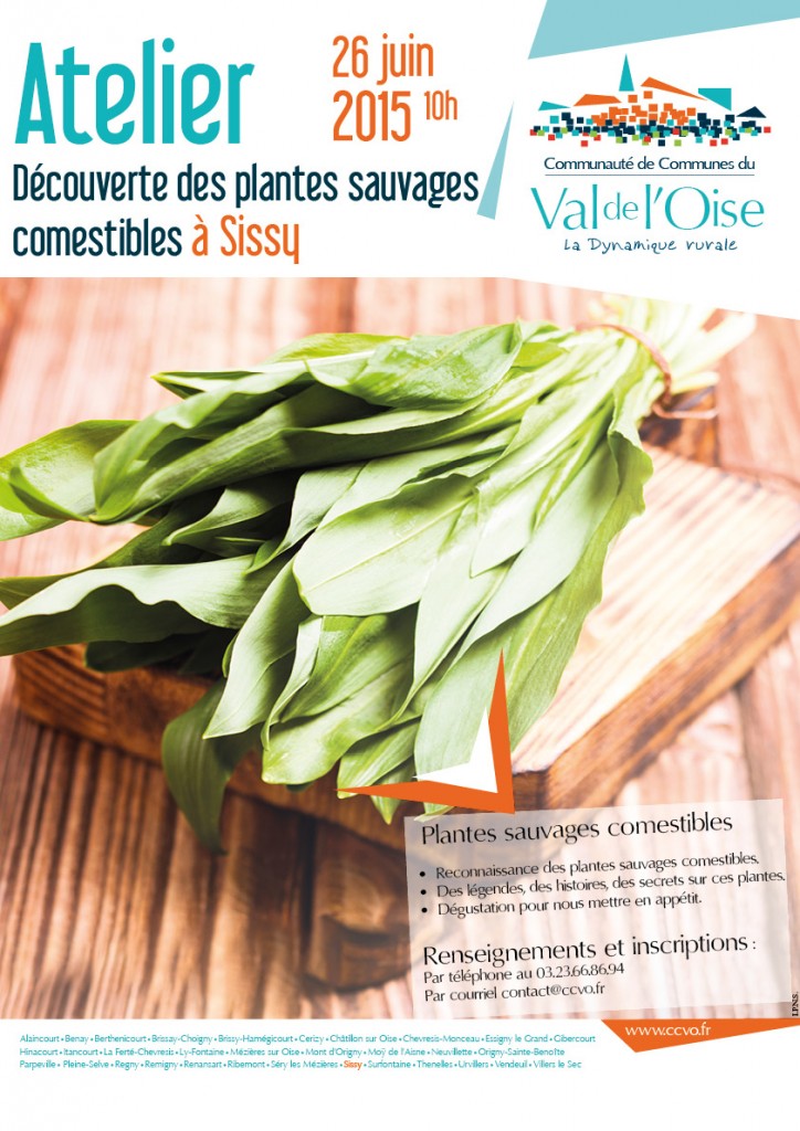 Affiche A3 CCVO plantes sauvages comestibles